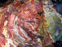 13, Abstract (North Carolina Mineral Deposits)
